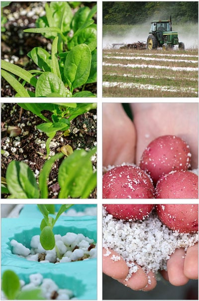perlite has a valuable role in engineered potting soils, soilless grow media and other horticultural applications